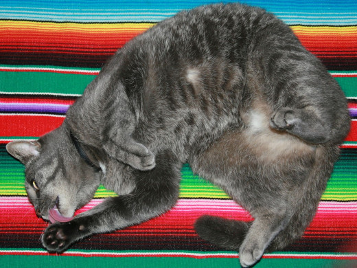 359498 (a): :1600x1200